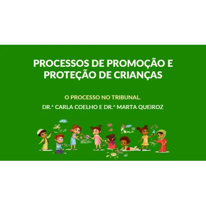 Módulo II – O processo no Tribunal