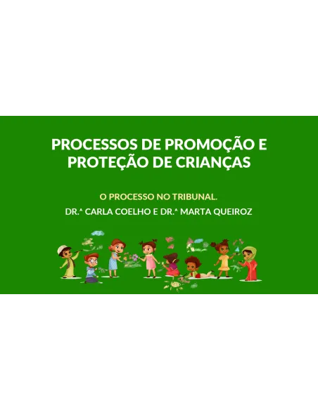 Módulo II – O processo no Tribunal