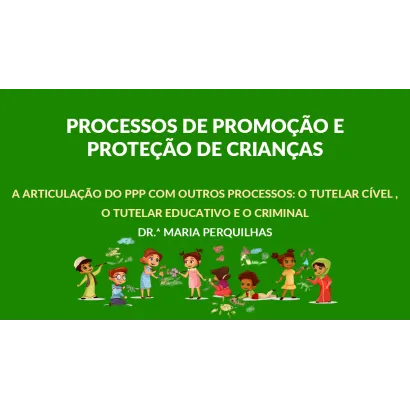 Módulo IV – A Articulação do PPP com outros processos: o tutelar cível , o tutelar educativo e o criminal