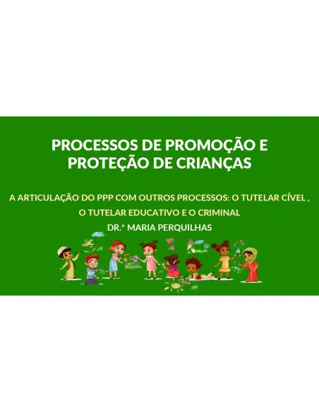 Módulo IV – A Articulação do PPP com outros processos: o tutelar cível , o tutelar educativo e o criminal